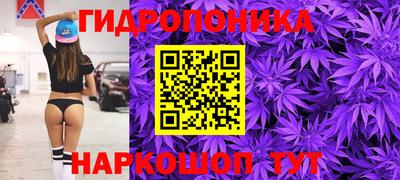 ешки Лесосибирск